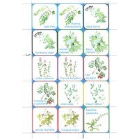 PEXESO Liečivé bylinky, obojstranná farebná tlač na kartóne (výkrese), formát A4